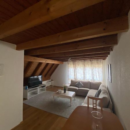 Get Cozy Family Flat Zuerich Apartman Kültér fotó