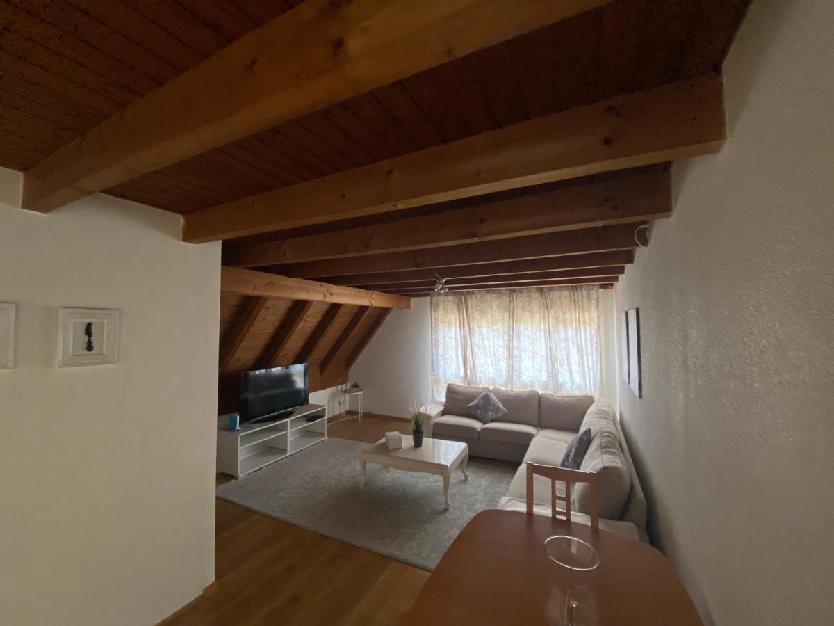 Get Cozy Family Flat Zuerich Apartman Kültér fotó